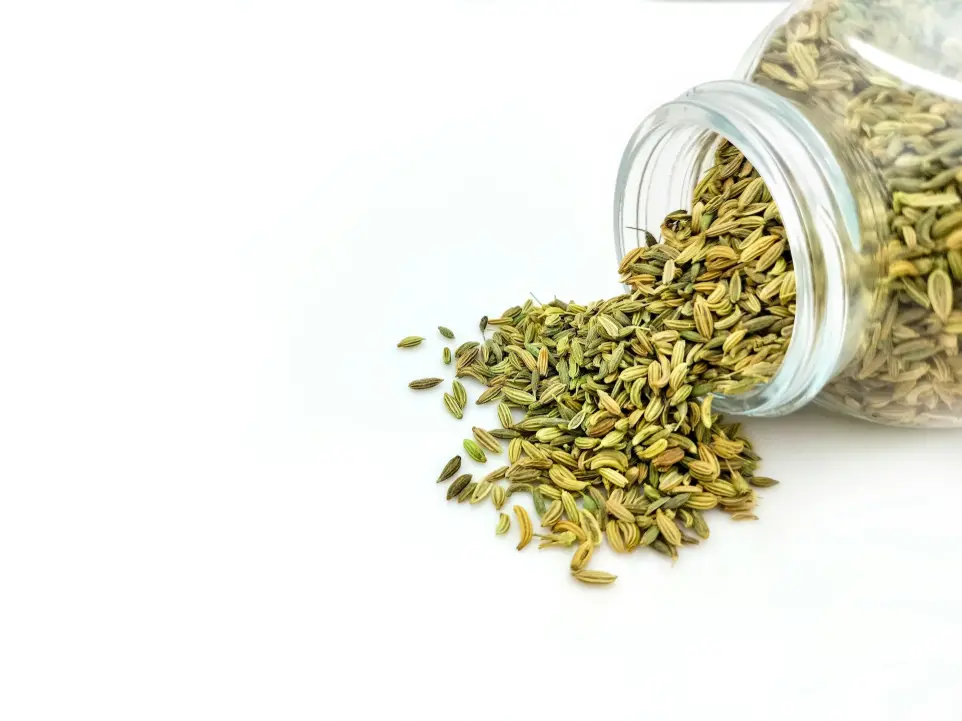 Fennel Oleoresin