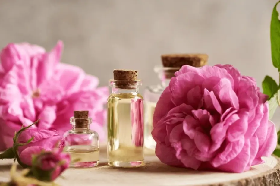 rose absolute