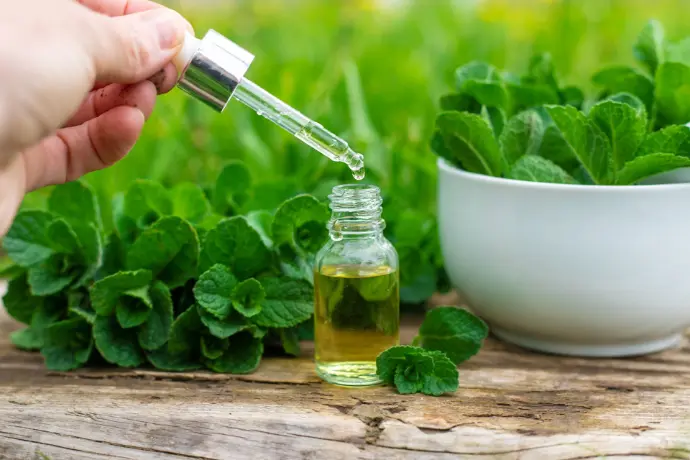 Peppermint Oil
