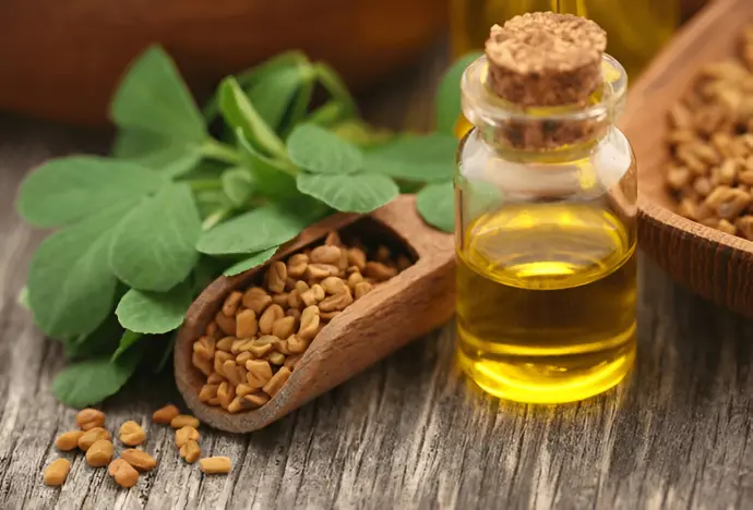 Fenugreek Oil