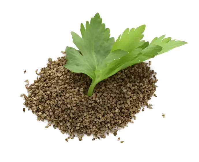 Celeryseed Oleoresin