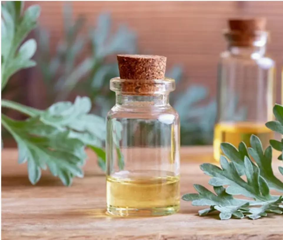 Davana Essential Oil